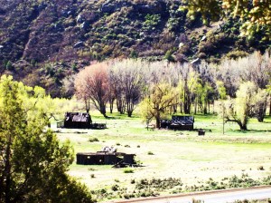Early spring at Pagosa Junction 2012.
